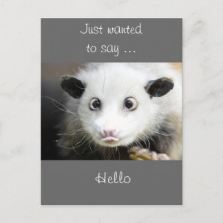 Carte Postale Conception de Possum