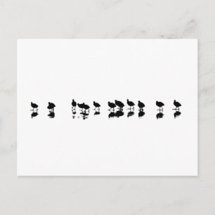 Carte Postale Conception des pièces - Noir sur Blanc