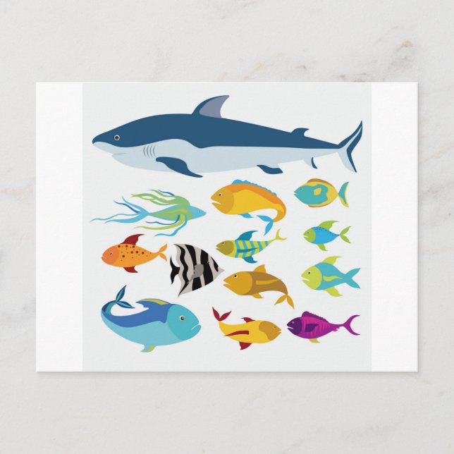 Carte Postale conception du poisson (Devant)