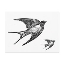 Conception noire vintage d'hirondelle