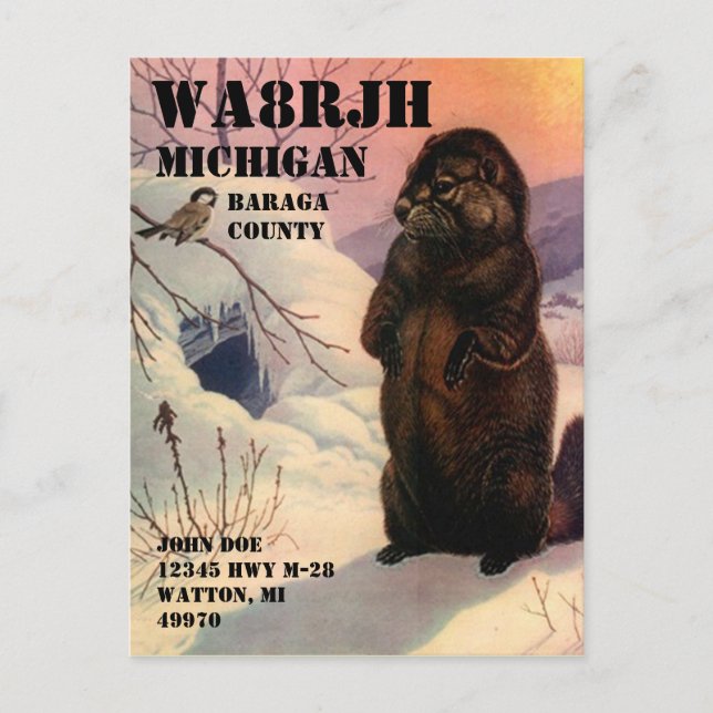 Carte Postale Concevez votre propre radioopérateur HAM QSL Op Wi (Devant)