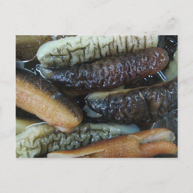Carte Postale Concombre de mer ... Nourriture du marché du Yaowa (Devant)