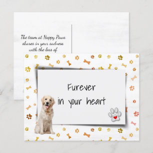 Carte Postale Condoléances pour la perte d'un Golden Retriever