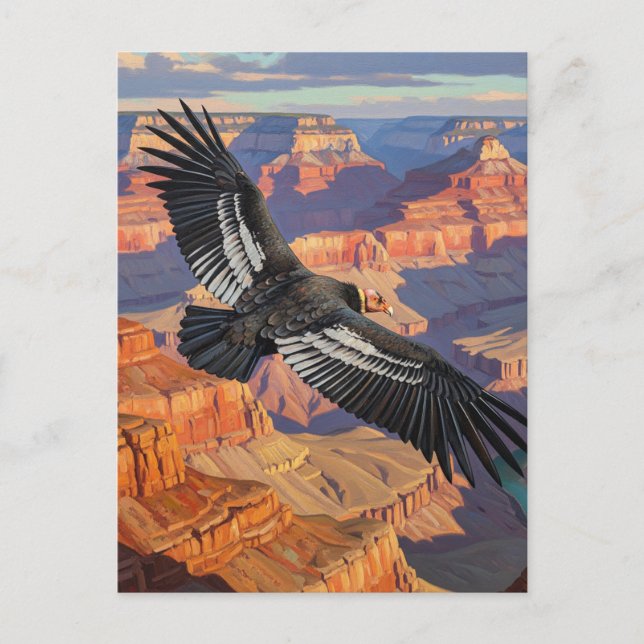 Carte Postale Condor dans le parc national du Grand Canyon (Devant)
