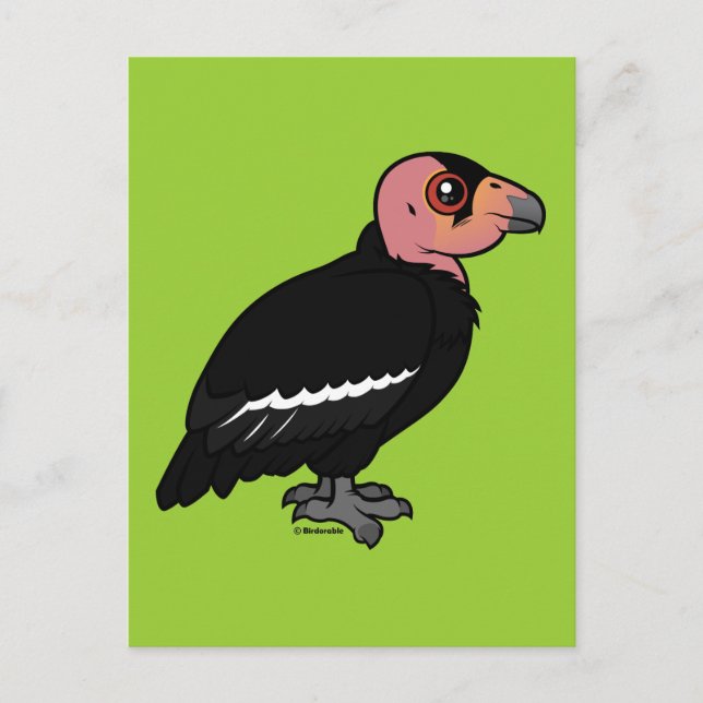 Carte Postale Condor de Californie (Devant)