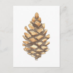 Carte Postale Cône de pin
