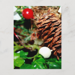 Carte Postale Cône De Pin Avec Du Ivy