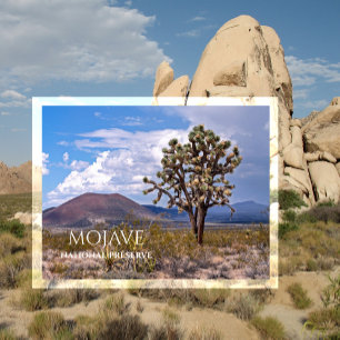 Carte Postale Cônes de scories, Joshua Tree, réserve nationale M