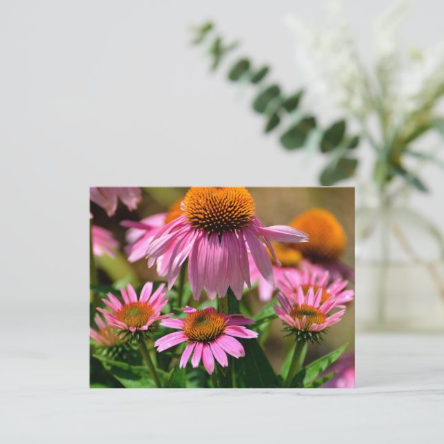 Carte Postale confleurs violets éclatants (Debout devant)