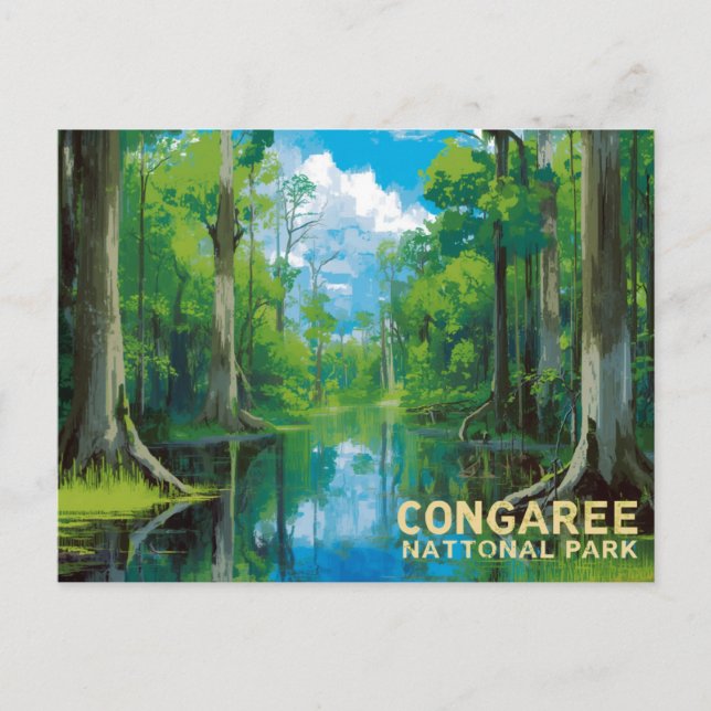 Carte Postale Congaree National Park Swamp Art (Devant)