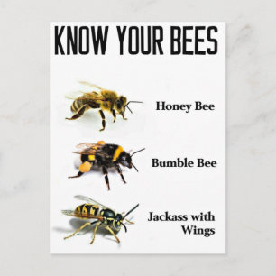 Carte Postale Connaissez vos abeilles