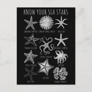 Carte Postale Connaissez vos étoiles de mer - Groupes Starfish