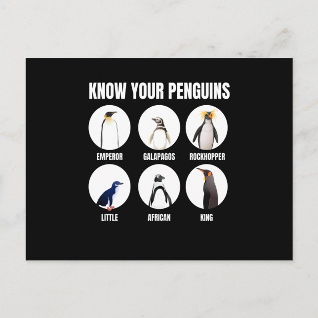 Carte Postale Connaissez vos pingouins Penguin Oiseau de neige (Devant)