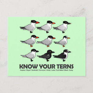 Carte Postale Connaissez Vos Ternes