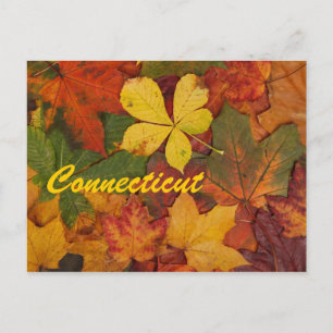 Carte postale Connecticut Autumn Leaves