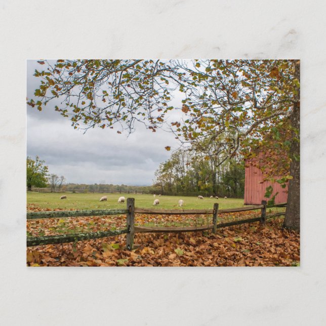 Carte postale Connecticut Fall Farm (Devant)