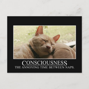 Carte Postale Conscience : le temps agaçant entre deux siestes