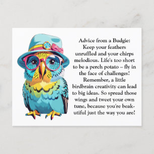 Carte Postale Conseil Amusant D'Un Budgie