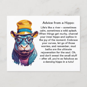 Carte Postale Conseil Drôle D'Un Hippo