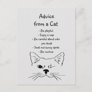 Carte Postale Conseils de Winking Cat amusant Humour animal