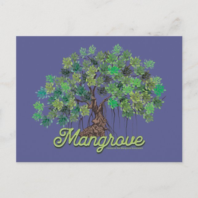 Carte Postale Conservation des mangroves (Devant)