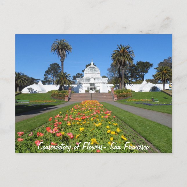 Carte Postale Conservatoire des Fleurs de San Francisco (Devant)