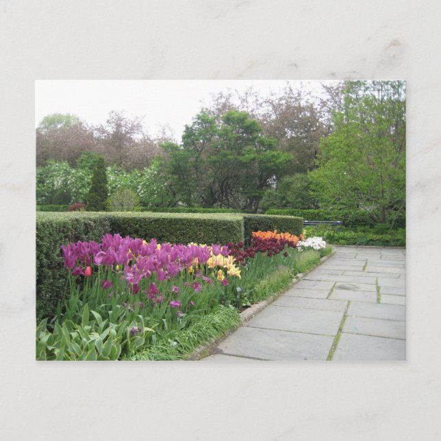 Carte Postale Conservatory Garden (Central Park, New York City) (Devant)