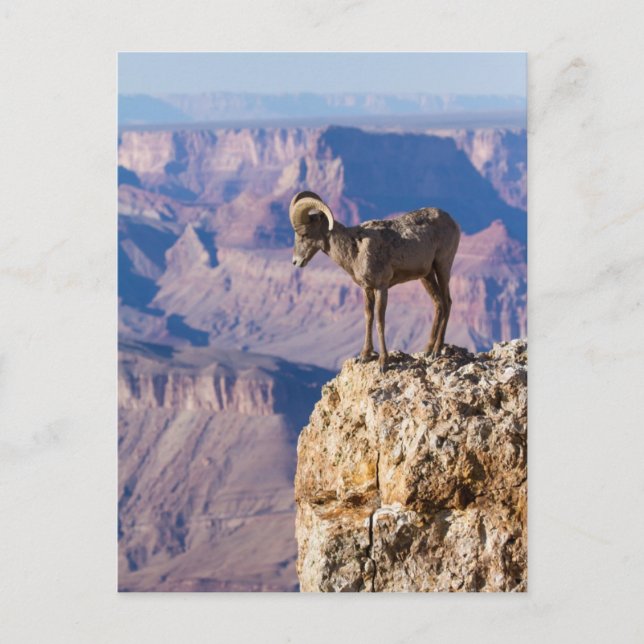 Carte Postale Considérer l'abîme (Devant)