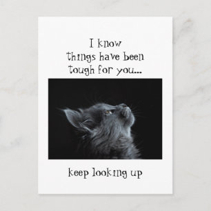 Carte Postale Continuez à regarder vers Dieu Encouragement Chat 