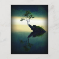 Contre tous les obstacles - Belle photo d'arbre