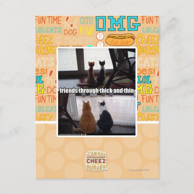 Carte Postale Contre vent et marée (Devant)