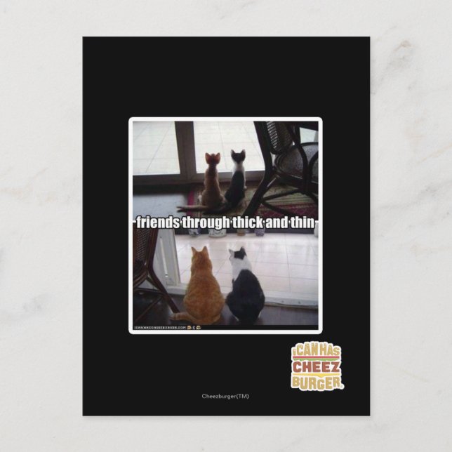 Carte Postale Contre vent et marée (Devant)