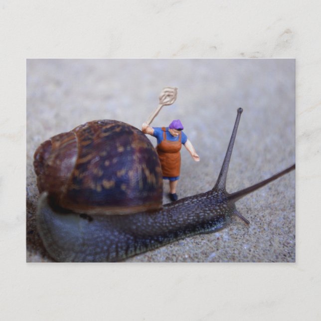 Carte Postale Contrôle des parasites (Devant)