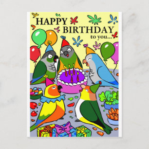 Carte Postale conure soleil gcc quaker caique perroquet sénégala