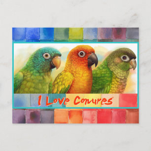 Carte Postale Conures à carreaux verts à couronnes bleues