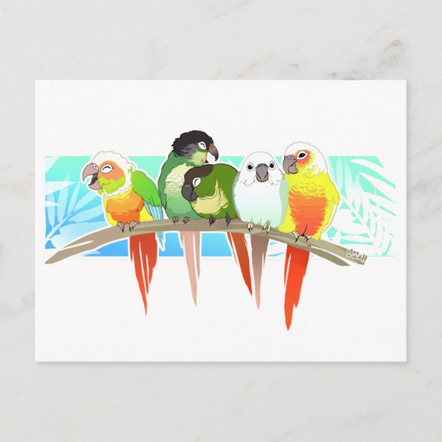 Carte Postale Conures à la joue verte (Devant)