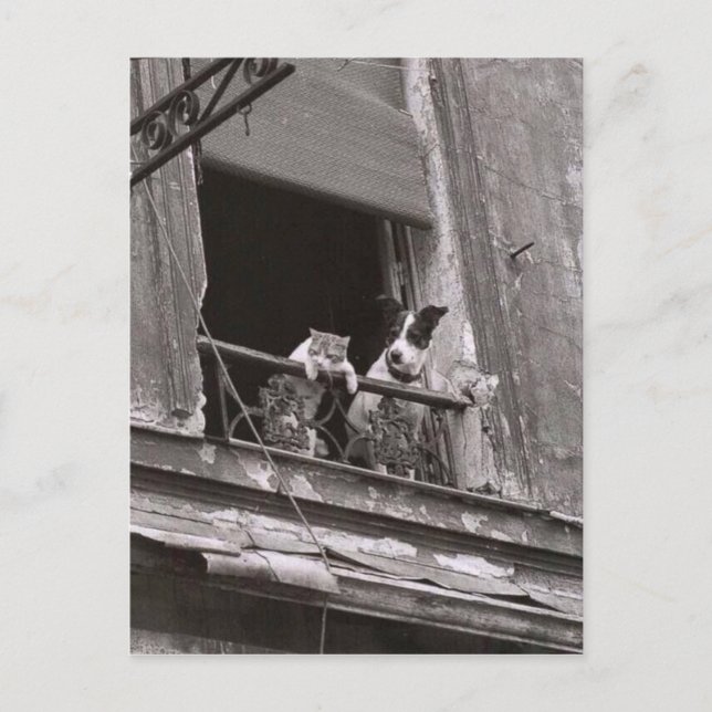 Carte Postale Conversation et chien - Robert Doisneau (Devant)