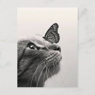 Carte Postale Conversation et papillon