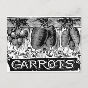 Carte Postale Convertir 4 carottes vintages