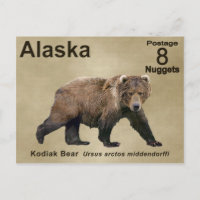 Cook bear