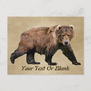 Carte Postale Cook bear