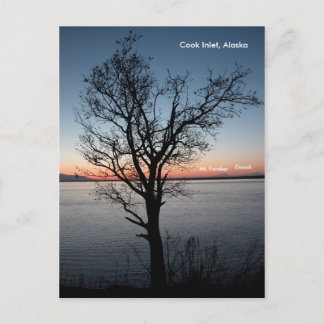 Carte Postale Cook Inlet avec Denali et Mt. Foraker - Alaska