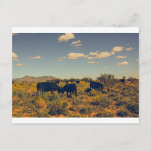 Carte postale Cookes Peak 07