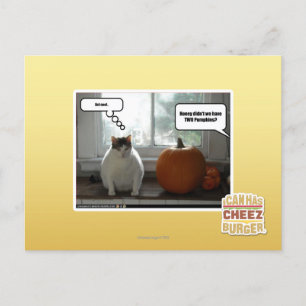 Carte Postale Cool