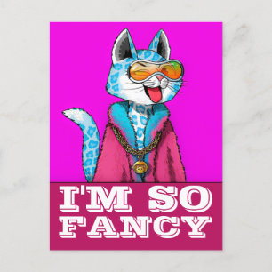 CARTE POSTALE cool CAT FUNNY FANCY ART