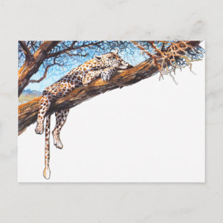 Carte Postale Cool cheetah