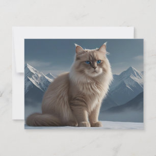 Carte Postale Cool Kitty
