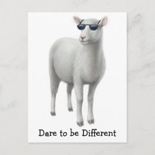 Carte postale cool Sheep