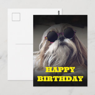 Carte Postale Cool Shih Tzu cheveux longs Photo vintage Annivers