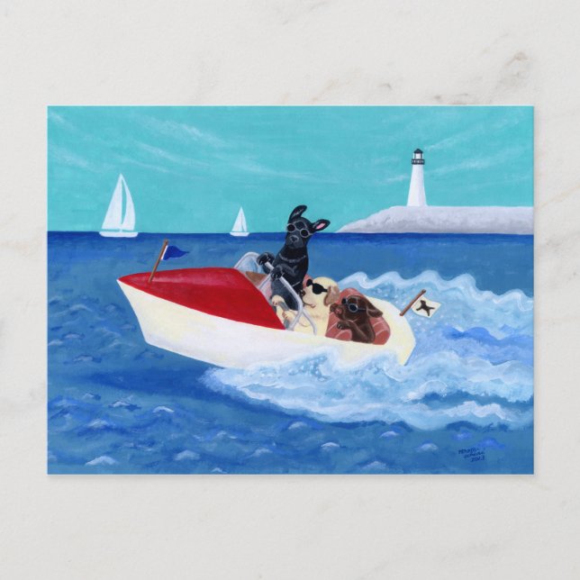 Carte Postale Cool Summer Labradors (Devant)